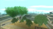 Совершенная реальность для GTA San Andreas миниатюра 1