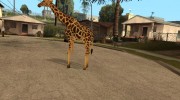 Giraffe для GTA San Andreas миниатюра 1