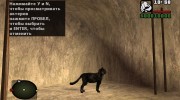 Черный кот из S.T.A.L.K.E.R для GTA San Andreas миниатюра 3