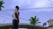 Комары вокруг CJ for GTA San Andreas miniature 2