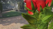 Букет из роз для GTA 5 миниатюра 4