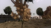 Vegetation Pack  3.0 для GTA San Andreas миниатюра 6