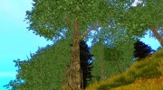 Совершенная растительность v.2 para GTA San Andreas miniatura 9