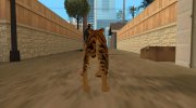 Тигр para GTA San Andreas miniatura 17