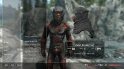 New Jester Armor - Dark Shrouded для TES V: Skyrim миниатюра 6
