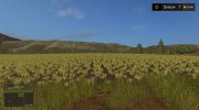 Балдейкино 4 для Farming Simulator 2017 миниатюра 12