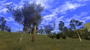 Beautiful Insanity Vegetation Update 1.0 Light Palm Trees From GTA V для GTA San Andreas миниатюра 27