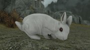 Summon Bunnies Mounts and Followers for TES V: Skyrim miniature 3