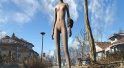 Nude and Alone for Fallout 4 miniature 1