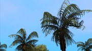 Original Palms HD Leaf Texture (Low PC) для GTA San Andreas миниатюра 10