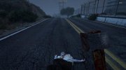 RandonauticaV 1.0 for GTA 5 miniature 4