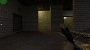 Basic AUG - Skull Retexture for Counter Strike 1.6 miniature 3