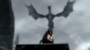 Intense Dragon Fight 1.0 для TES V: Skyrim миниатюра 5