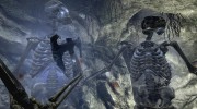 Beast Skeletons для TES V: Skyrim миниатюра 5