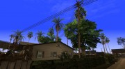 Beautiful Insanity Vegetation Update 1.0 Light Palm Trees From GTA V para GTA San Andreas miniatura 13