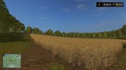 Село Молоково for Farming Simulator 2017 miniature 9