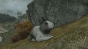 Summon Bunnies Mounts and Followers para TES V: Skyrim miniatura 1