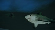 INSANITY Shark Attack для GTA San Andreas миниатюра 3