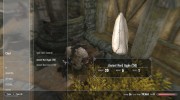 Food Arrows and Spells for TES V: Skyrim miniature 7
