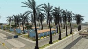 GTA V Palm Trees v1 для GTA San Andreas миниатюра 5