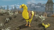 Chocobos Mounts and Followers для TES V: Skyrim миниатюра 1