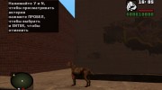 Слепой пес из S.T.A.L.K.E.R v.4 для GTA San Andreas миниатюра 3