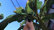 Vegetation Overhaul 1.1 для GTA 5 миниатюра 5