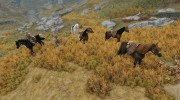 Swift Steeds New Light Breed Horses non replacer for TES V: Skyrim miniature 2
