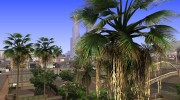 Beautiful Insanity Vegetation Update 1.0 Light Palm Trees From GTA V para GTA San Andreas miniatura 2