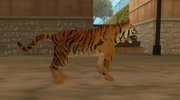 Тигр para GTA San Andreas miniatura 16