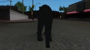 Чёрная Пантера для GTA San Andreas миниатюра 2