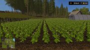Архангельское для Farming Simulator 2017 миниатюра 10