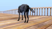 Волк для GTA San Andreas миниатюра 3