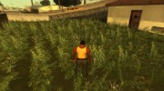 Grass GTA V Beta para GTA San Andreas miniatura 2