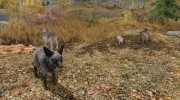 Summon Forest Mounts and Followers for TES V: Skyrim miniature 2
