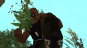 Bush cannabis для GTA San Andreas миниатюра 5