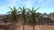 GTA V Palm Trees V.1 для GTA San Andreas миниатюра 4