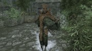 Summon Dragonborn Mounts and Followers for TES V: Skyrim miniature 12