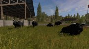 Черные быки для Farming Simulator 2017 миниатюра 1