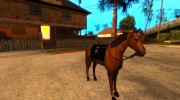 Конь для GTA San Andreas миниатюра 2