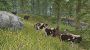 Wild Horses for Skyrim для TES V: Skyrim миниатюра 1