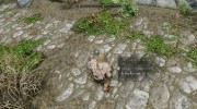 Hermit The Baby Mudcrab Follower для TES V: Skyrim миниатюра 2