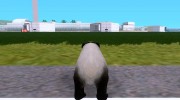Panda Bear для GTA San Andreas миниатюра 3