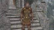 Baal McDohl for TES V: Skyrim miniature 1