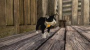 Pets Kingdom for TES V: Skyrim miniature 3