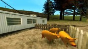 Pigs in the countrys для GTA San Andreas миниатюра 4