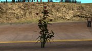 Insanity Flowers для GTA San Andreas миниатюра 1