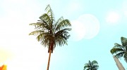 Original Palms HD Leaf Texture (Low PC) for GTA San Andreas miniature 5