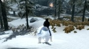 Summon Big Cats Mounts and Followers 2.2 for TES V: Skyrim miniature 16