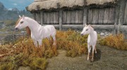Foals of Skyrim для TES V: Skyrim миниатюра 3